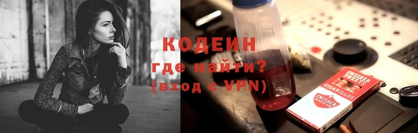стаф Няндома