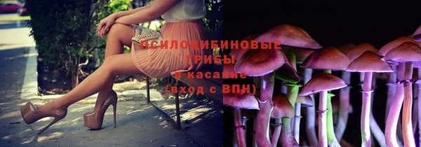 дурь Белоозёрский