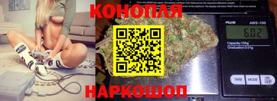 гидропоника Моздок