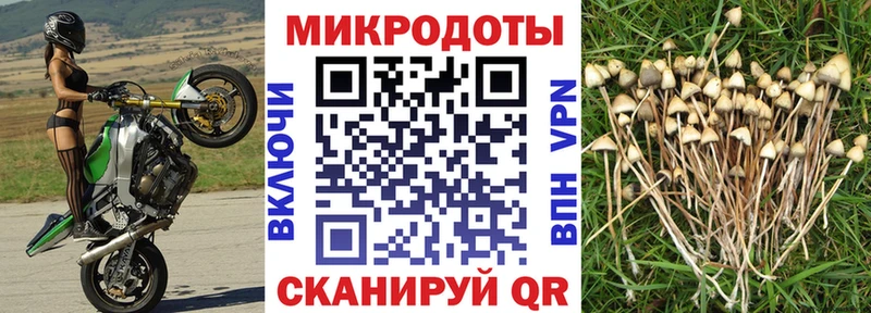 Галлюциногенные грибы мицелий  Соль-Илецк 