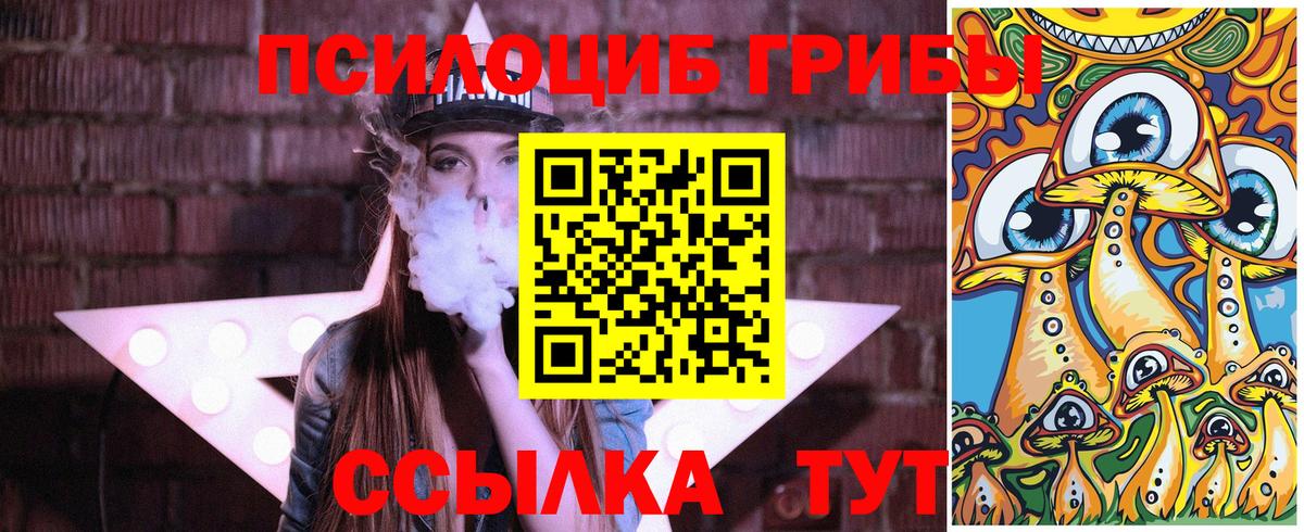 Псилоцибиновые грибы Psilocybe  Псилоцибиновые грибы Psilocybe  цена   Вход с VPN  Соль-Илецк 